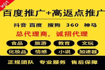 精准营销：百度推广平台的成功案例解析